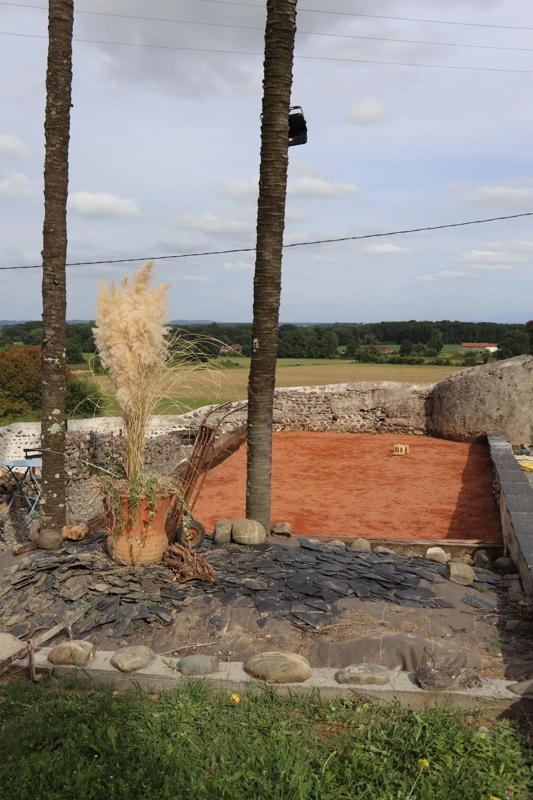 Touffe d’herbe de la pampa et palmiers encadrant le terrain de pétanque